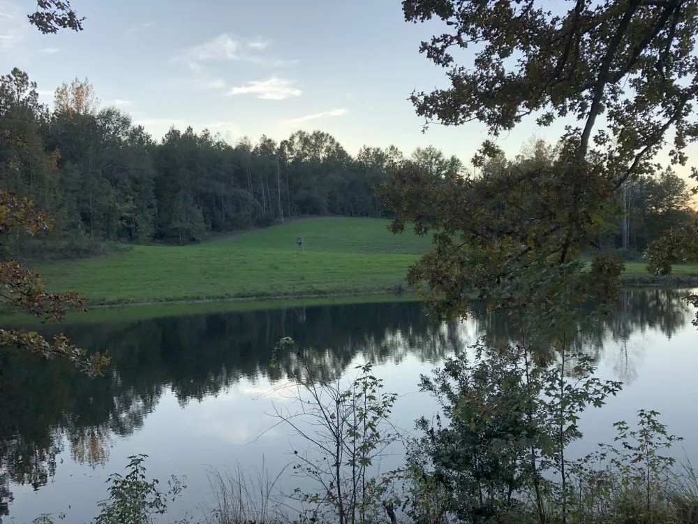 Aimwell - 50 acre Hunting Getaway featured image