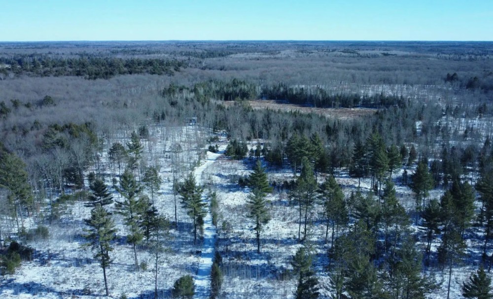 Iron County Wisconsin 114.5 Acres For Sale featured image