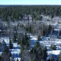 Iron County Wisconsin 114.5 Acres For Sale images 4