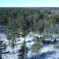 Iron County Wisconsin 114.5 Acres For Sale images 5