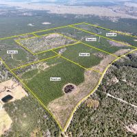 59 acres T-15 Spurger Pines North