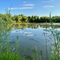 River Springs Ranch images 3