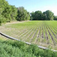 River Springs Ranch images 5