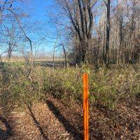 LA - Franklin 78 acres - images 3