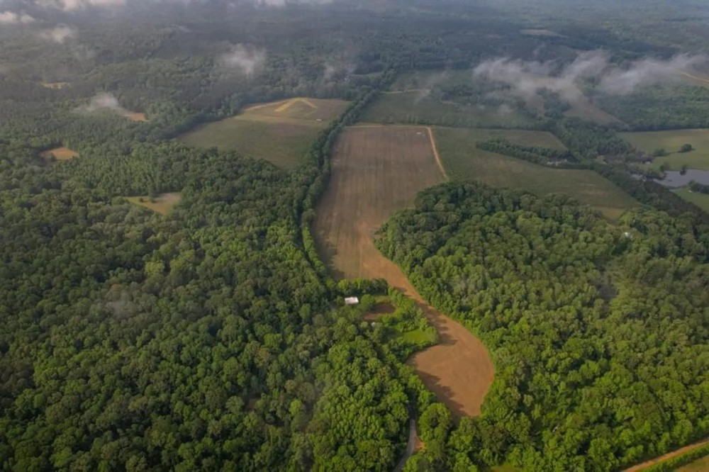 185 - Acres for Sale Claiborne County MS featured image
