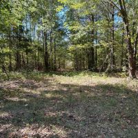 LA - Richland 35 acres -