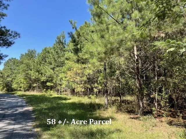 Hamilton Tracts 58 - Acre Parcel featured image