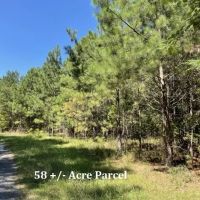 Hamilton Tracts 58 - Acre Parcel