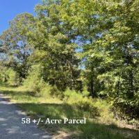 Hamilton Tracts 58 - Acre Parcel images 2