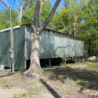 LA - Tensas 224 acres - images 4