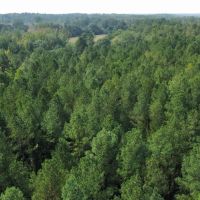 68 - Acres in Chambers County images 2