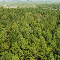 68 - Acres in Chambers County images 3