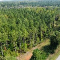 68 - Acres in Chambers County images 4