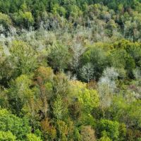 68 - Acres in Chambers County images 5