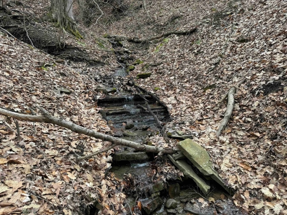 15 acres Recreational Land and Hunting Land in Grove NY County Road 15b featured image