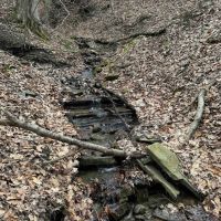 15 acres Recreational Land and Hunting Land in Grove NY County Road 15b