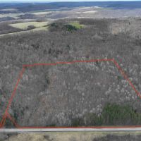 15 acres Recreational Land and Hunting Land in Grove NY County Road 15b images 2