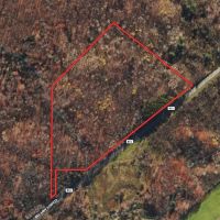 15 acres Recreational Land and Hunting Land in Grove NY County Road 15b images 3