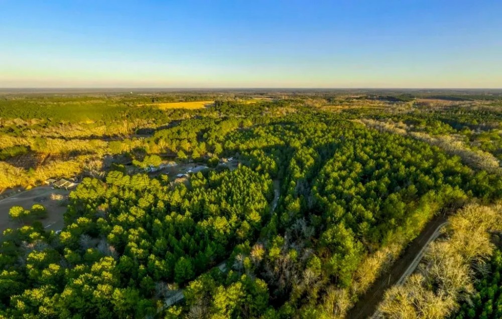 Recreational Homeplace in Bulloch Co. featured image
