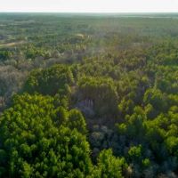 Recreational Homeplace in Bulloch Co. images 3