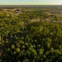 Recreational Homeplace in Bulloch Co. images 4
