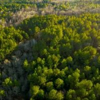 Recreational Homeplace in Bulloch Co. images 5