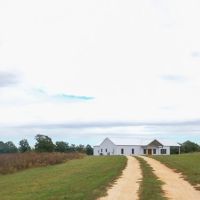 Sweet Oaks Plantation 130 - Ac images 3