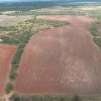24 - Acres Jones County Tract 14 images 3