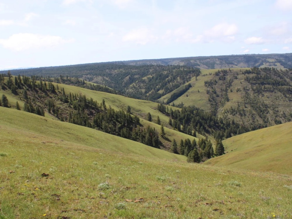 Birch Creek Ranch featured image