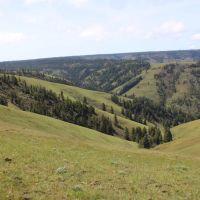 Birch Creek Ranch images 1