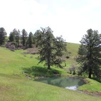 Birch Creek Ranch images 2