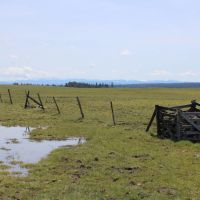 Birch Creek Ranch images 3
