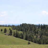 Birch Creek Ranch images 4