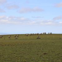 Birch Creek Ranch images 5