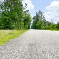 51 Acres Cravens Camp Rd. D-1 Silsbee Stake images 5