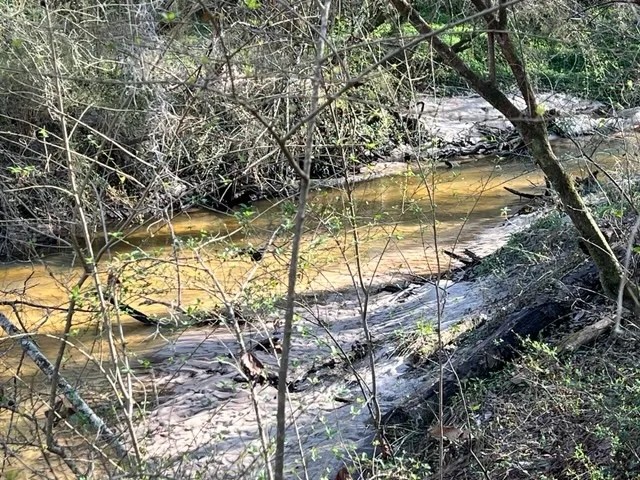 17 - Acres for your Dream Home Site Alabama featured image
