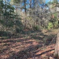17 - Acres for your Dream Home Site Alabama images 3