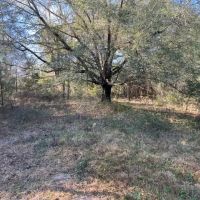 17 - Acres for your Dream Home Site Alabama images 4