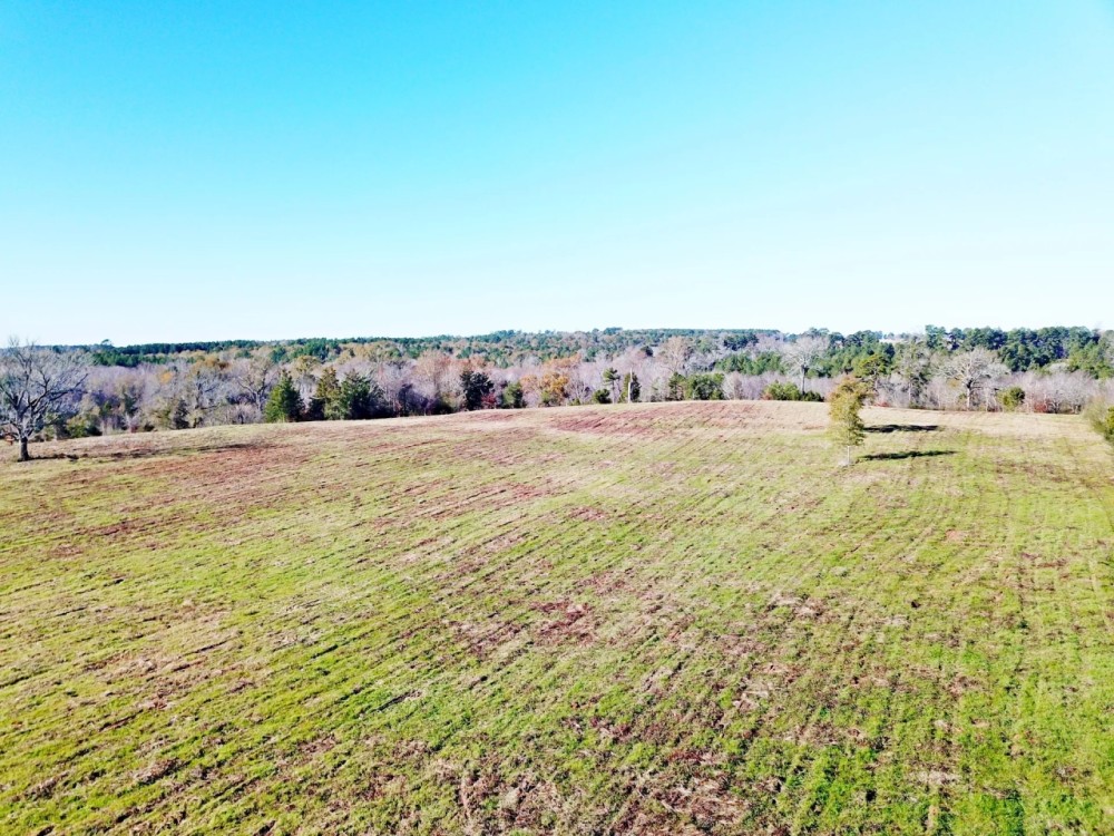 88.54 ACRES NACOGDOCHES COUNTY TEXAS featured image