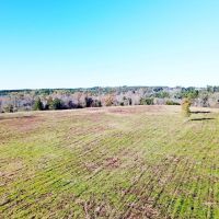 88.54 ACRES NACOGDOCHES COUNTY TEXAS images 1