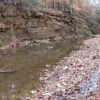 88.54 ACRES NACOGDOCHES COUNTY TEXAS images 2