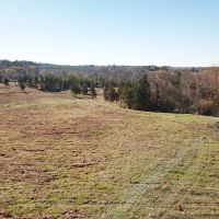 88.54 ACRES NACOGDOCHES COUNTY TEXAS images 3