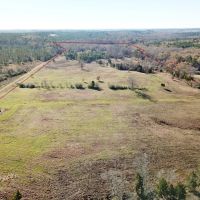 88.54 ACRES NACOGDOCHES COUNTY TEXAS images 4