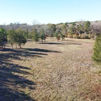 88.54 ACRES NACOGDOCHES COUNTY TEXAS images 5