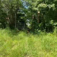 Leach Cemetery Road Tract images 4
