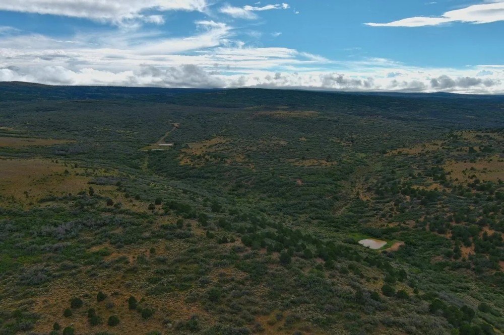 Rooker Ranch featured image