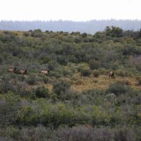 Rooker Ranch images 3