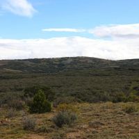 Rooker Ranch images 5