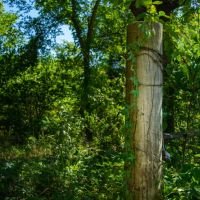 Choctaw 260 images 3