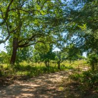 Choctaw 260 images 5